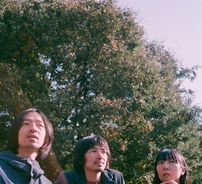 Foto de Lamp (Indie)