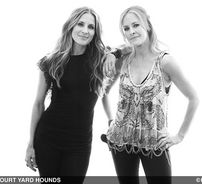 Foto de Court Yard Hounds