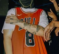 Foto de pumapjl