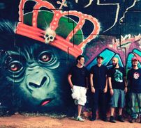 Foto de Chimpanzés de Gaveta