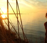 Foto de The Early Hours