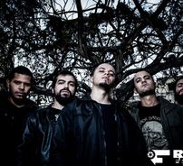 Foto de Tempo de Cinzas