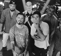 Foto de Planta e Raiz