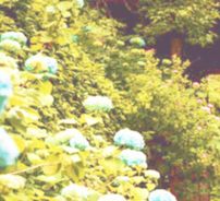 Foto de Daniella Lopes