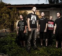 Foto de King Conquer