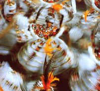 Foto de Samba-Enredo