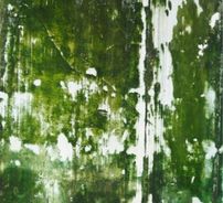 Foto de Adrielle Lopes