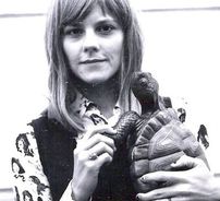 Foto de Scout Niblett