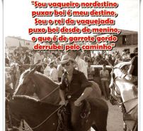 Foto de Vaqueiro de Luxo