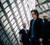 Foto de Misery Loves Co.