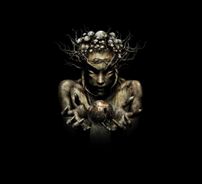 Foto de Infected Mushroom