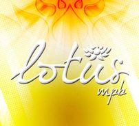 Foto de Banda Lotus MPB