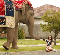 Foto de Emily Robins