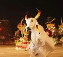 Foto de Boi Flor do Campo