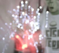 Foto de ETs na Terra