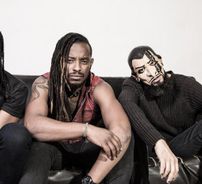 Foto de Black Pantera