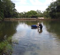 Foto de Paulo Rodrigo Pianista