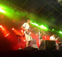 Foto de Lisérgicos Originales