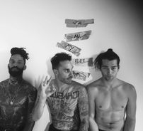 Foto de FEVER 333