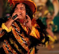 Foto de Boi Flor do Campo