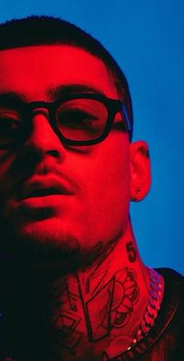 Foto de ZAYN