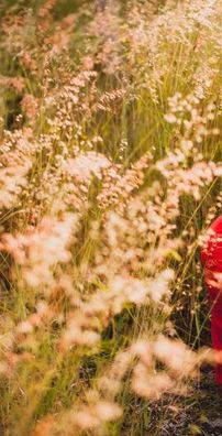 Foto de Marcos Paulo