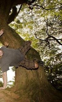 Foto de Gigante Animal