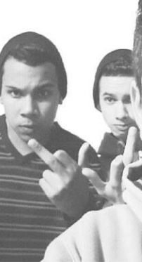 Foto de Crias de Sampa