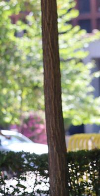 Foto de Mafalda Cardenal