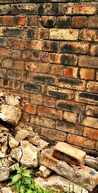 Foto de Heidi Talbot