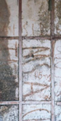 Foto de Thalia Abdon