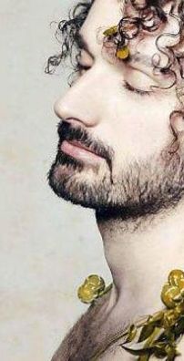 Foto de Cats on Trees