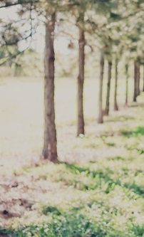 Foto de Bruno Mastrocolla