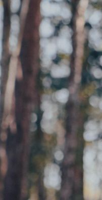 Foto de Banda Petras