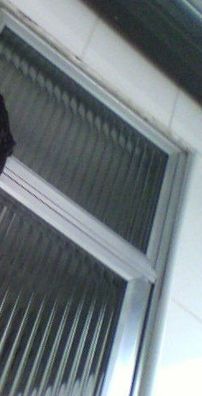 Foto de Henrique Matos