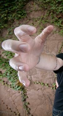 Foto de Kingdom of Sorrow