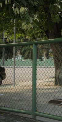 Foto de Nívea Ester