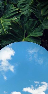 Foto de Tim Bernardes