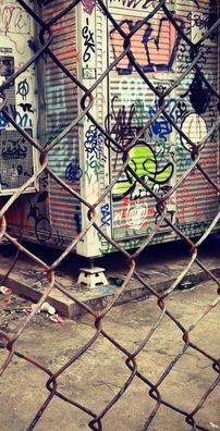 Foto de Morcego Doggy Dogg