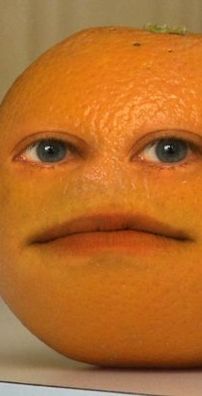 Foto de Laranja Irritante