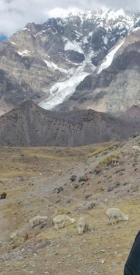 Foto de Sandoval Rodrigues