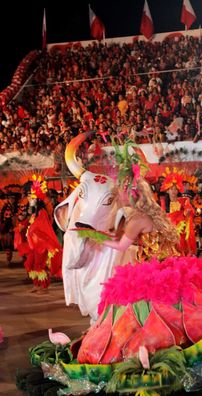 Foto de Boi Flor do Campo