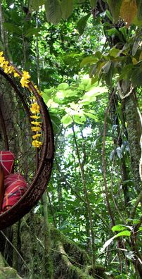 Foto de Viviane Chidid