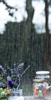 Foto de Léo Fressato