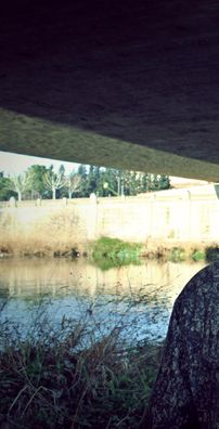 Foto de Pablo Hasél