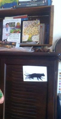 Foto de Mister Lúdico e os Morféticos