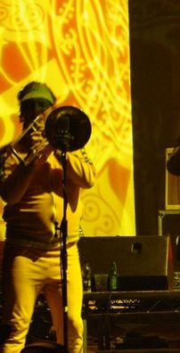 Foto de Fat Freddy's Drop