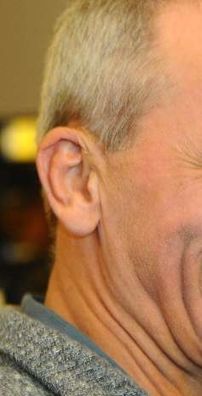 Foto de José Miguel Wisnik