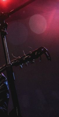 Foto de Bárbara Martínez