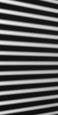 Foto de David Fonseca